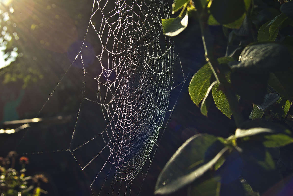 �������� ����� ����� ����� ������� �� PhotoGeek.ru #������ ��� �������