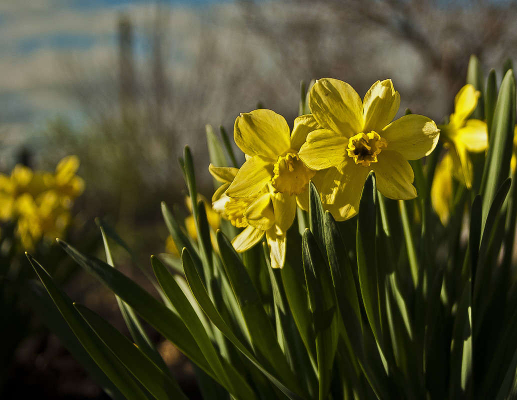 ��������.... ����� ����� ������� �� PhotoGeek.ru #������ ��� �������