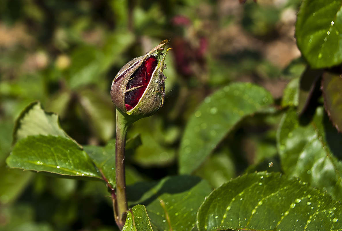 "�������� ������" ����� ����� ������� �� PhotoGeek.ru #������ ��� �������