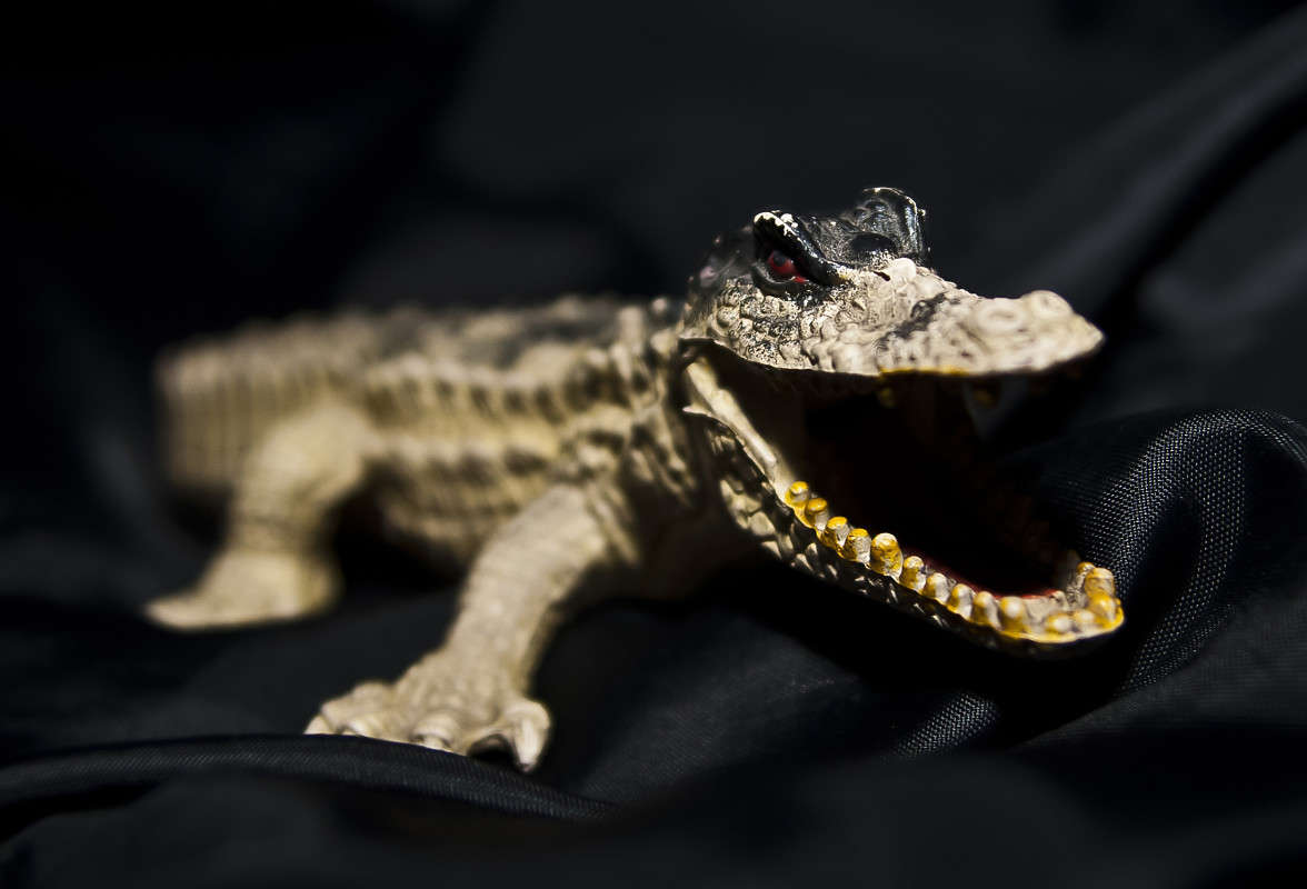 ....��� � ���.... ����� ����� ������� �� PhotoGeek.ru #�����