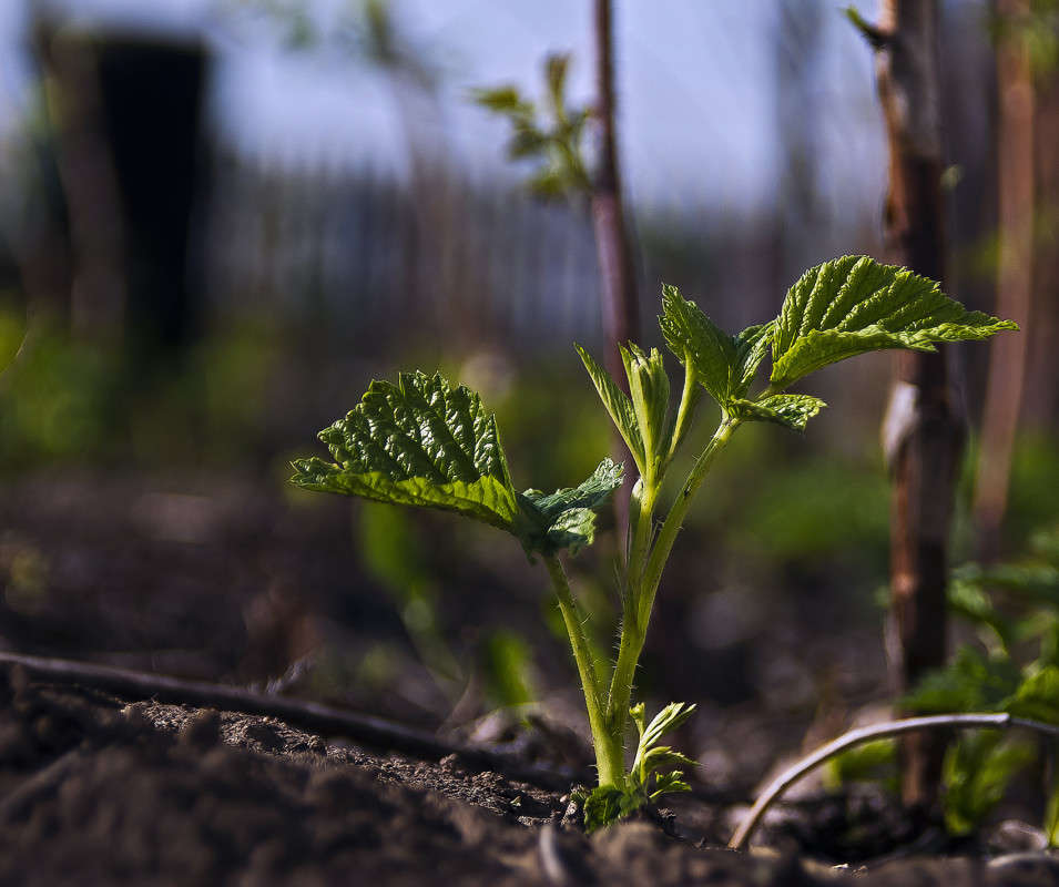 ��������... ����� ����� ������� �� PhotoGeek.ru #����� #������ ��� �������