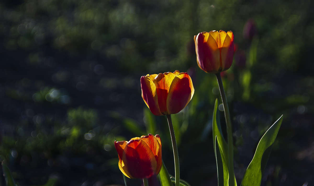 �� ������� ����� ����� ������� �� PhotoGeek.ru #������ ��� �������