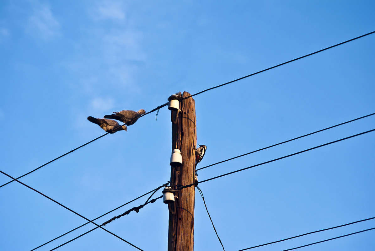 � ������������, � ���� � ��� �������? ����� ����� ������� �� PhotoGeek.ru #�������� ���