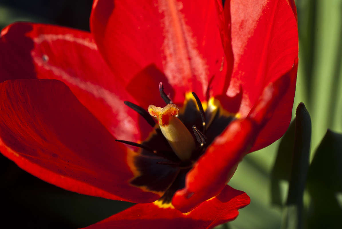 ������������ ����� ����� ������� �� PhotoGeek.ru #�����