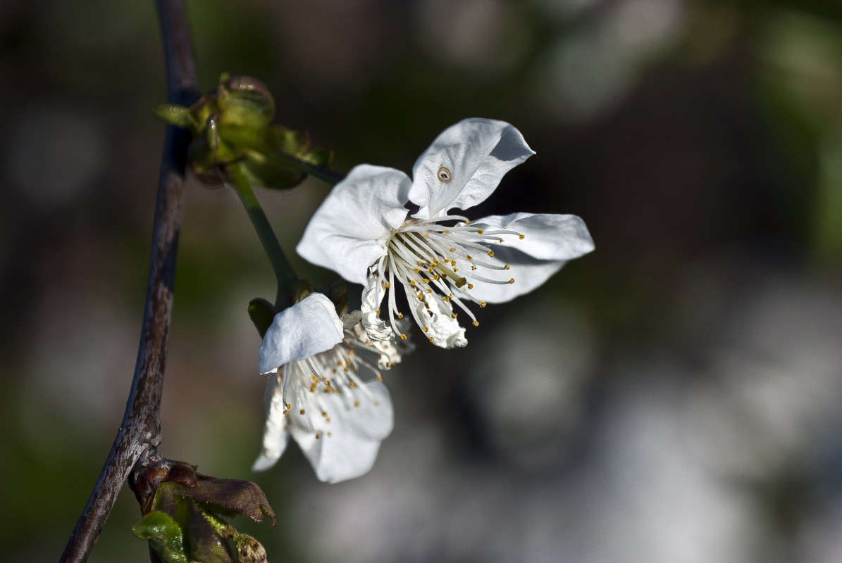 ����������� ����� ����� ������� �� PhotoGeek.ru #������ ��� �������