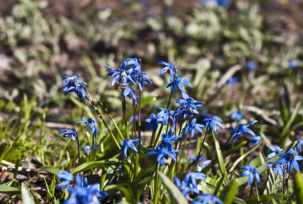 � ������� ����� ����� ������� �� PhotoGeek.ru #������ ��� �������