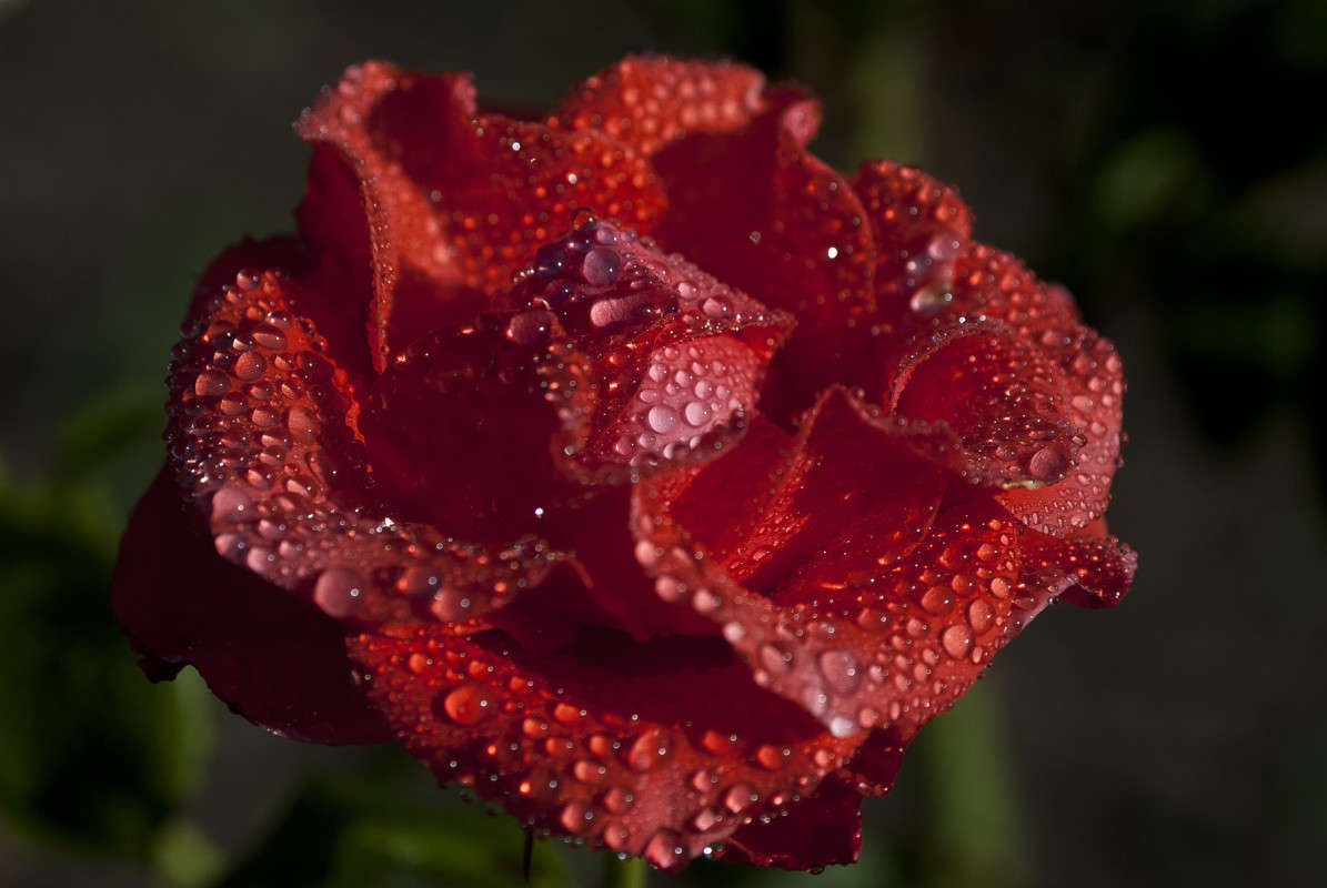 ������������ ��������� ����� ����� ������� �� PhotoGeek.ru #������ ��� �������