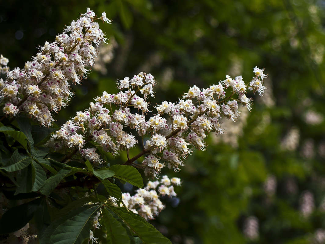 "��������" ����� ����� ������� �� PhotoGeek.ru #������ ��� �������