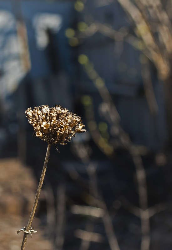 ������ ����� ����� ������� �� PhotoGeek.ru #������ ��� �������