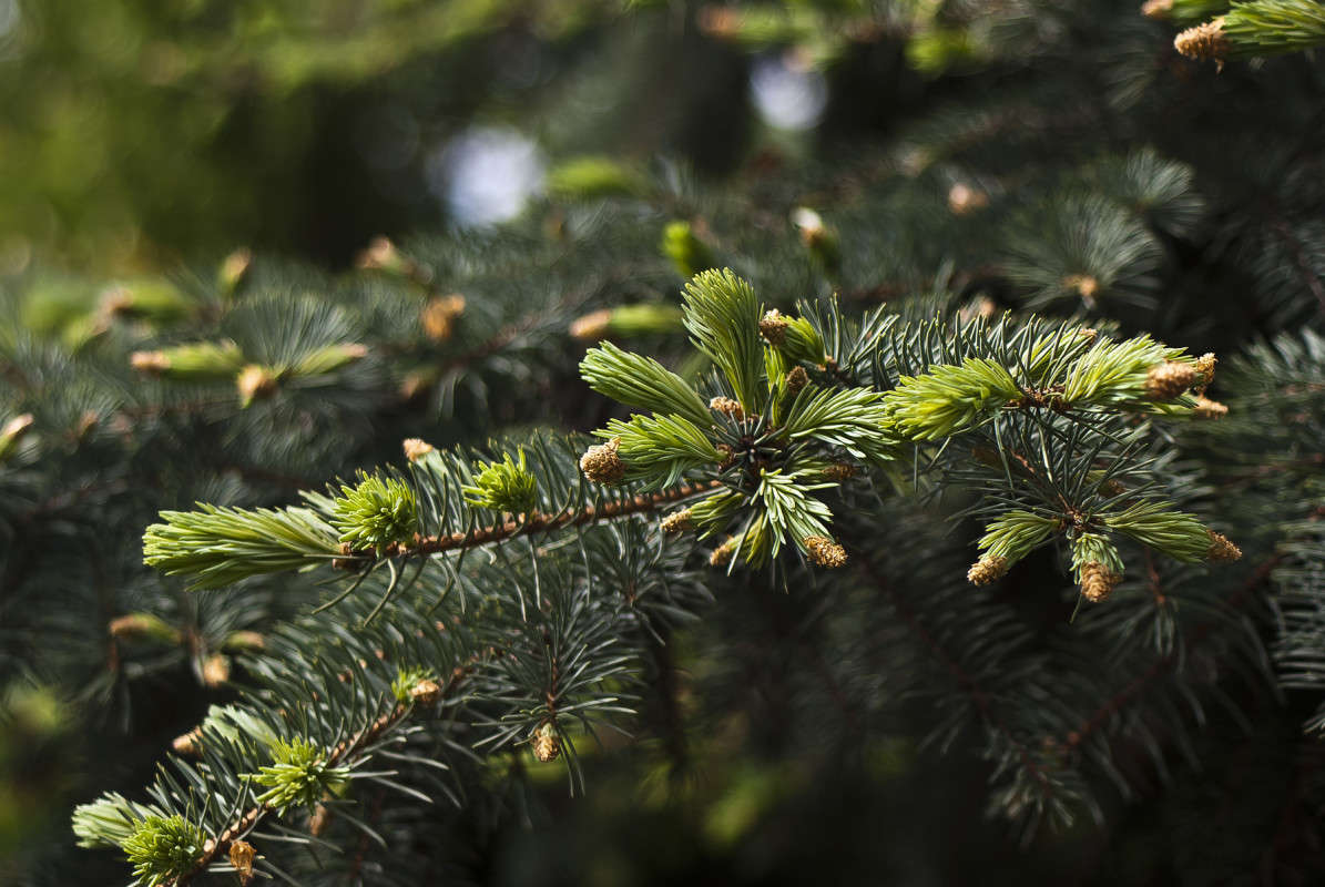 �������� ����� ����� ������� �� PhotoGeek.ru #������ ��� �������