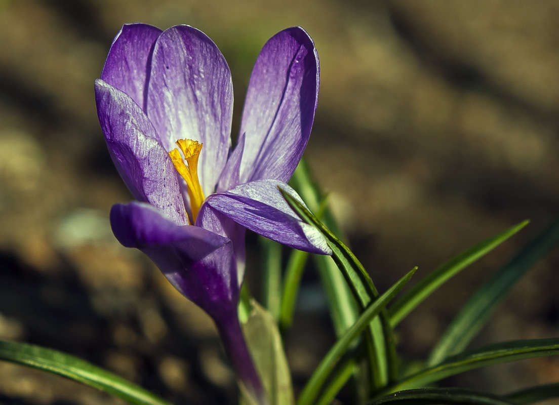 �������� ����� ����� ������� �� PhotoGeek.ru #�����