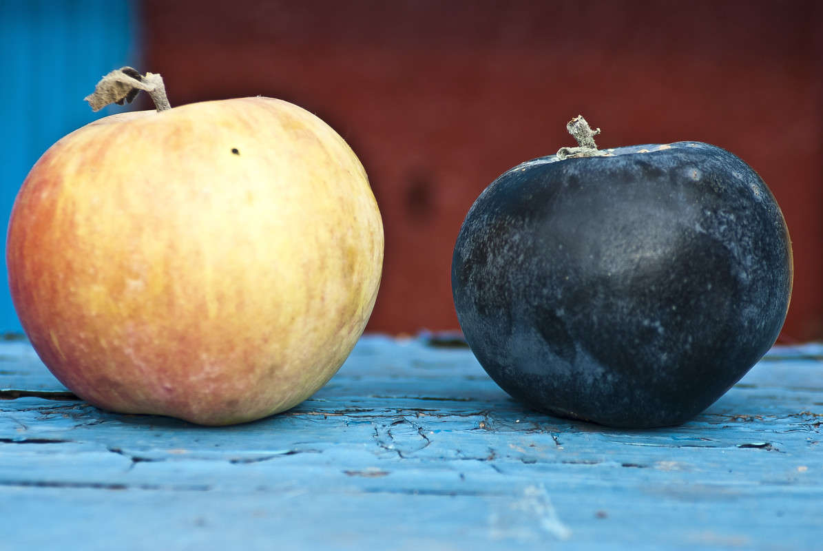 �������� ����� ����� ������� �� PhotoGeek.ru #������ ��� �������