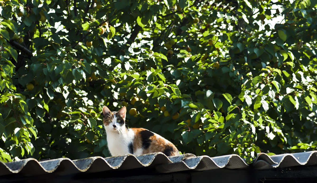 ��, � ������ ����������� ����� ����� ������� �� PhotoGeek.ru #�������� ���