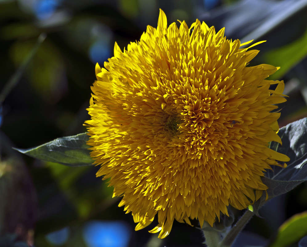 ���������� ����� ����� ������� �� PhotoGeek.ru #������ ��� �������