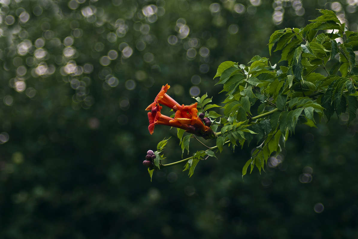 ���� ���� ����� ����� ����� ������� �� PhotoGeek.ru #������ ��� �������