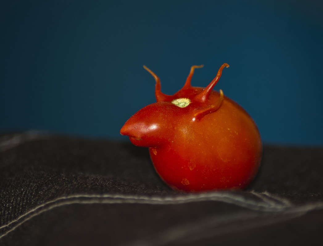 ���������� ����� ����� ������� �� PhotoGeek.ru #�����