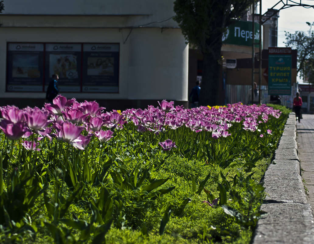 � ������ �������� ����� ����� ������� �� PhotoGeek.ru #�����