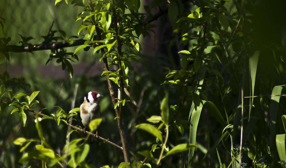 ����� �������� ����� ����� ������� �� PhotoGeek.ru #�������� ���