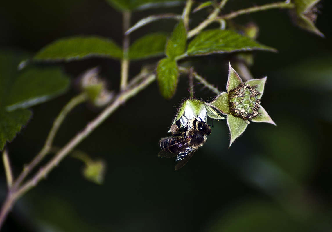 � ������ ������ ����� ����� ������� �� PhotoGeek.ru #�����