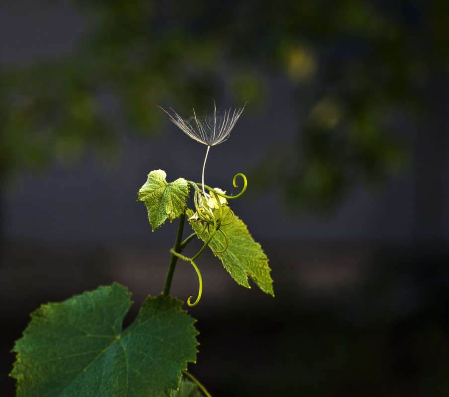 "������" ����� ����� ������� �� PhotoGeek.ru #������ ��� �������