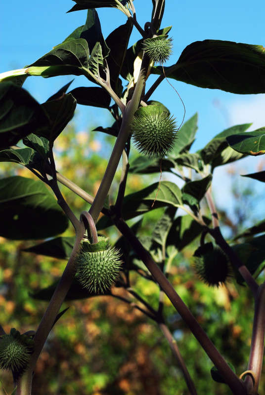 ���� ���� ����� ����� ������� �� PhotoGeek.ru #������ ��� �������