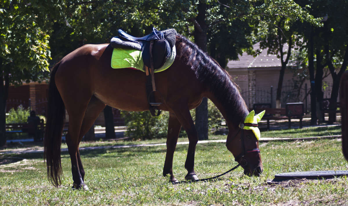 ������� ����� ����� ������� �� PhotoGeek.ru #�������� ���