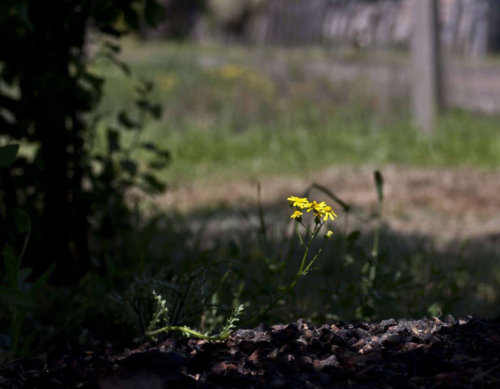 .....� ������ ����� ����� ������� �� PhotoGeek.ru #������ ��� �������