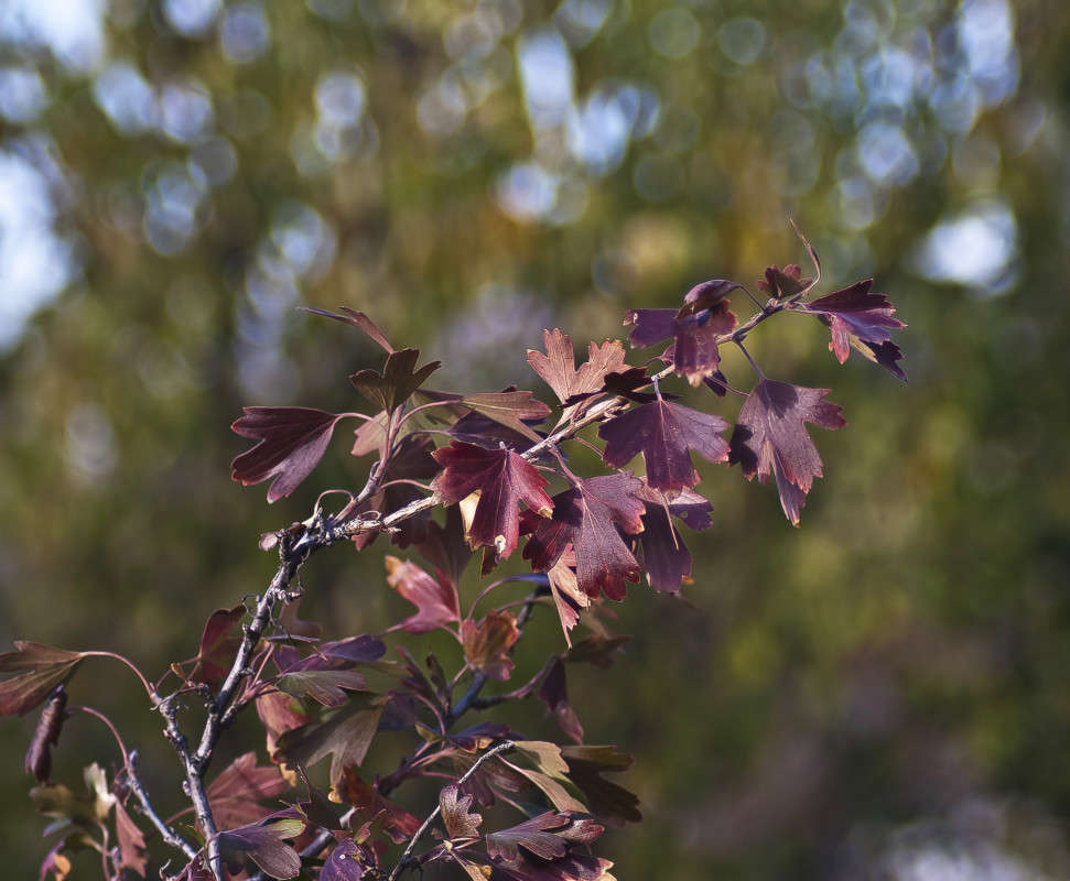 ������ ����� ����� ����� ������� �� PhotoGeek.ru #������ ��� �������