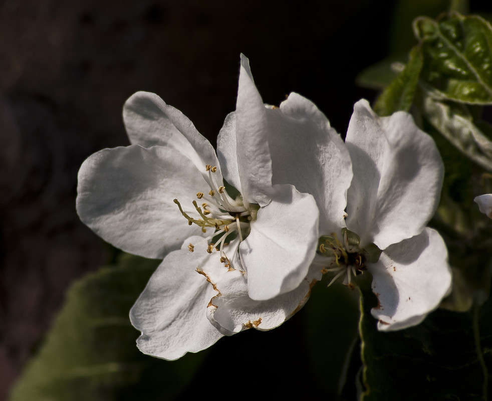 ��������� ���� ����� ����� ������� �� PhotoGeek.ru #������ ��� �������