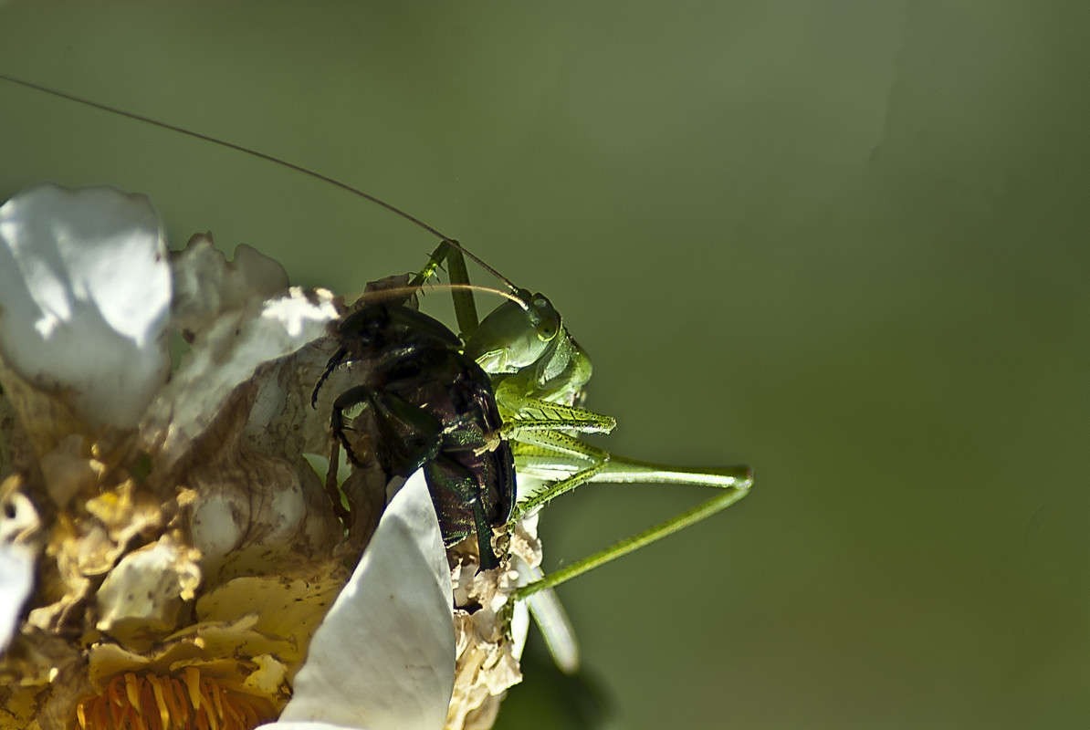 ��� ��� ������ ����� ����� ������� �� PhotoGeek.ru #�����