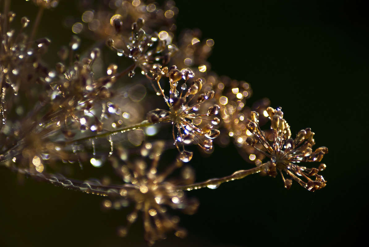 ������ ����� ����� ����� ������� �� PhotoGeek.ru #�����