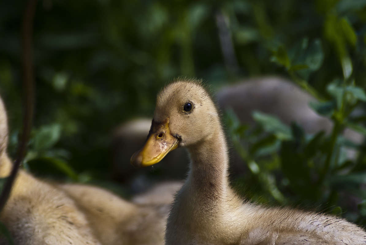 ������ ����� ����� ������� �� PhotoGeek.ru #�������� ���