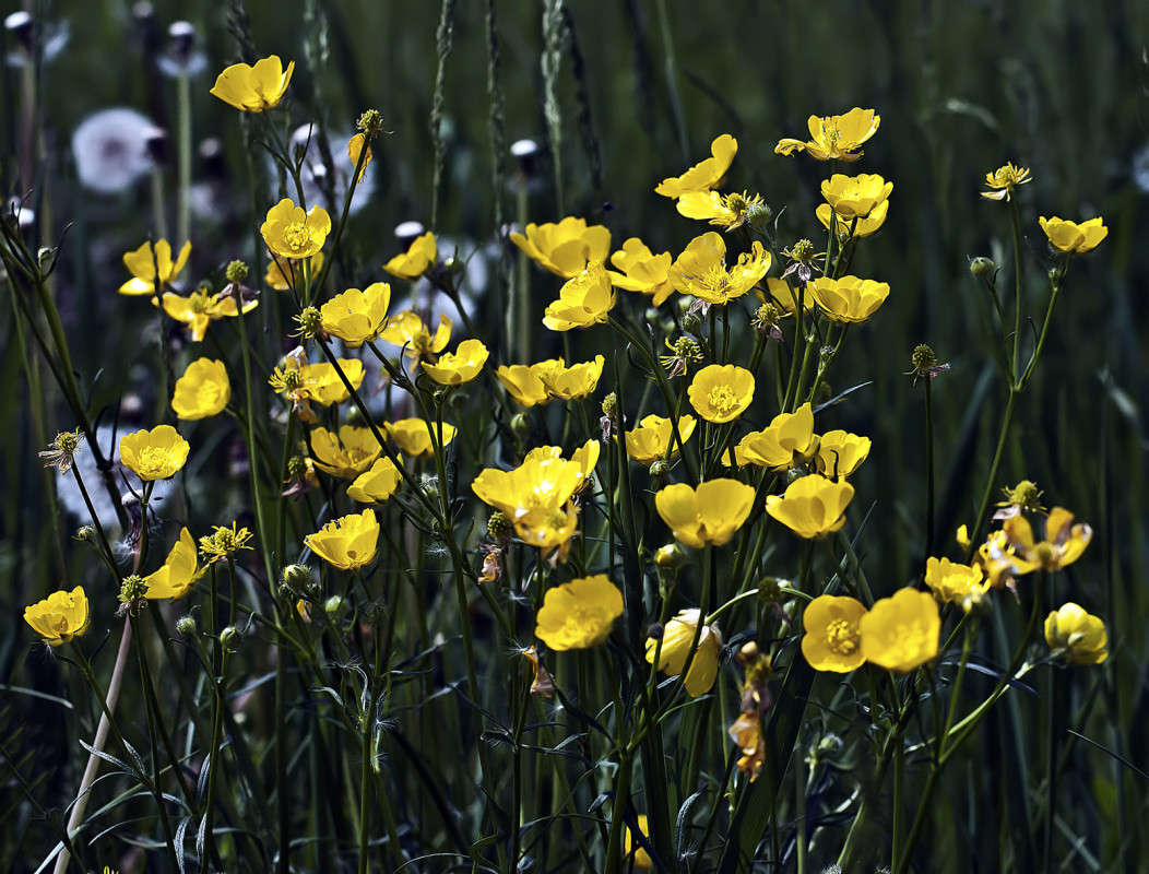 ��������� ����� ����� ������� �� PhotoGeek.ru #������ ��� �������