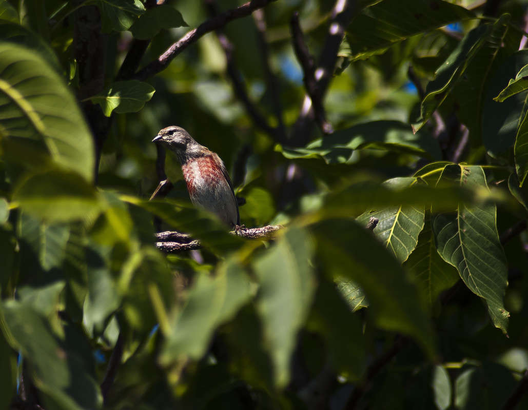 ....��� �� ���? ����� ����� ������� �� PhotoGeek.ru #�������� ���