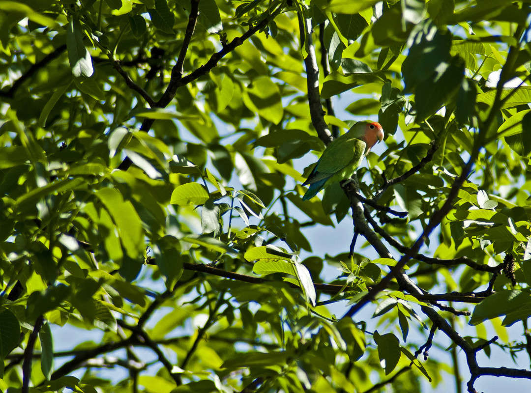 ������ ����� ����� ������� �� PhotoGeek.ru #�������� ���