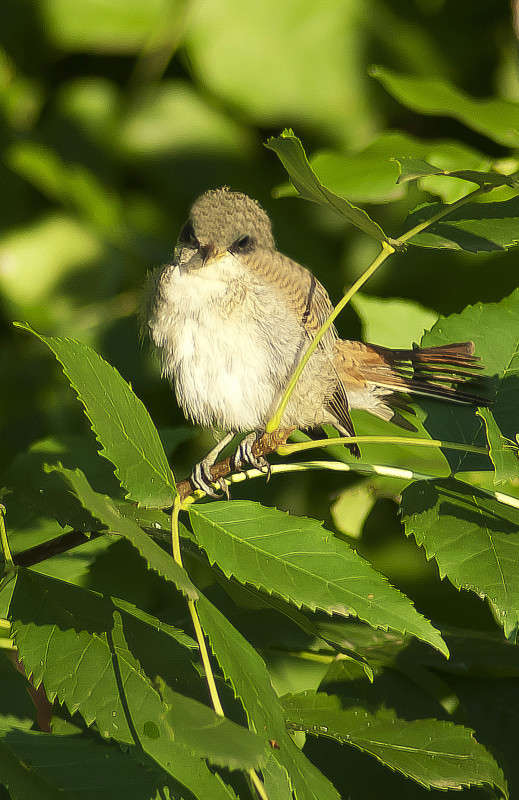 ����� ����� ����� ������� �� PhotoGeek.ru #�������� ���