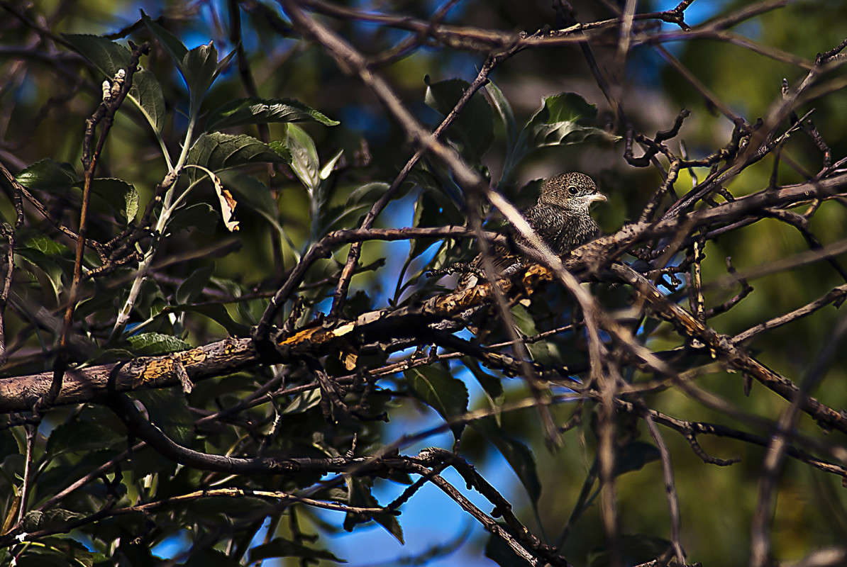 ���������� ����� ����� ������� �� PhotoGeek.ru #�������� ���