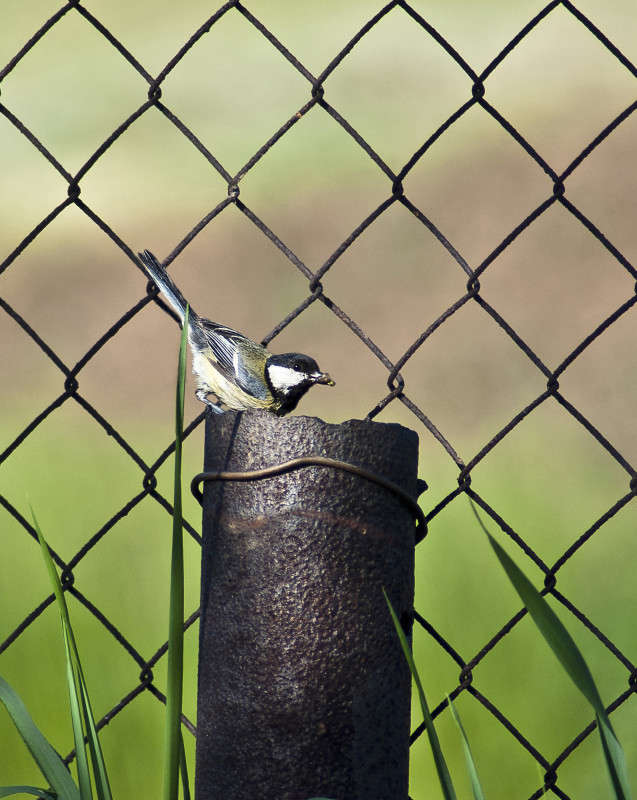 ��������� ����� ����� ������� �� PhotoGeek.ru #�������� ���