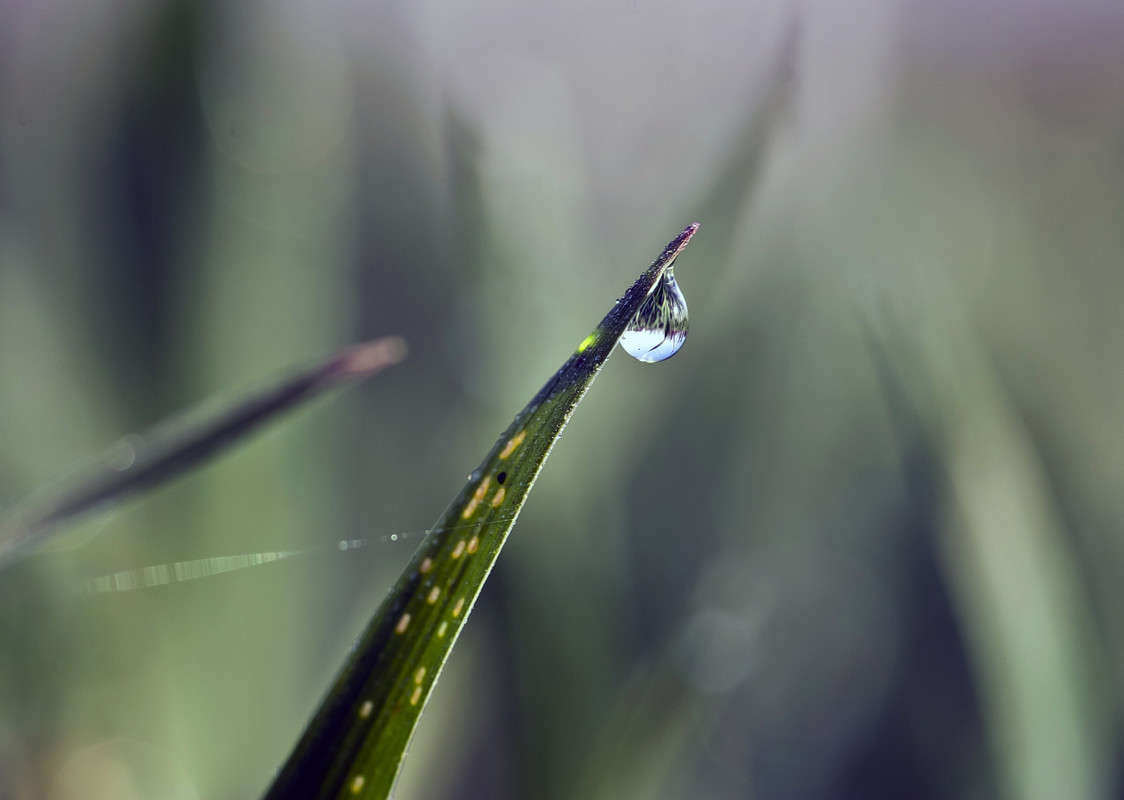 ����������� ����� ����� ����� ������� �� PhotoGeek.ru #�����