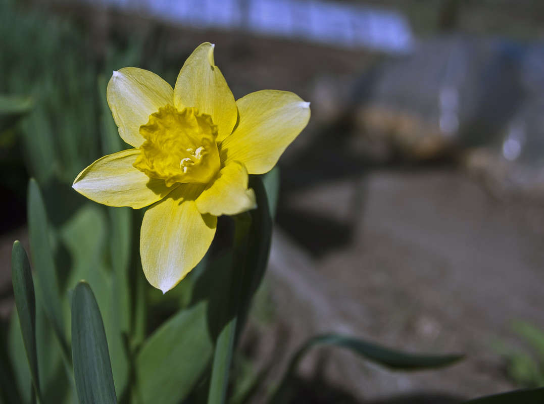 �������� ����� ����� ������� �� PhotoGeek.ru #�����