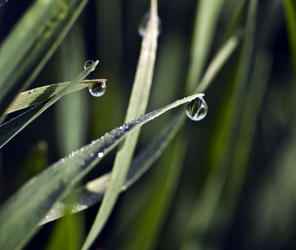 ����������� ����� ����� ����� ������� �� PhotoGeek.ru #�����