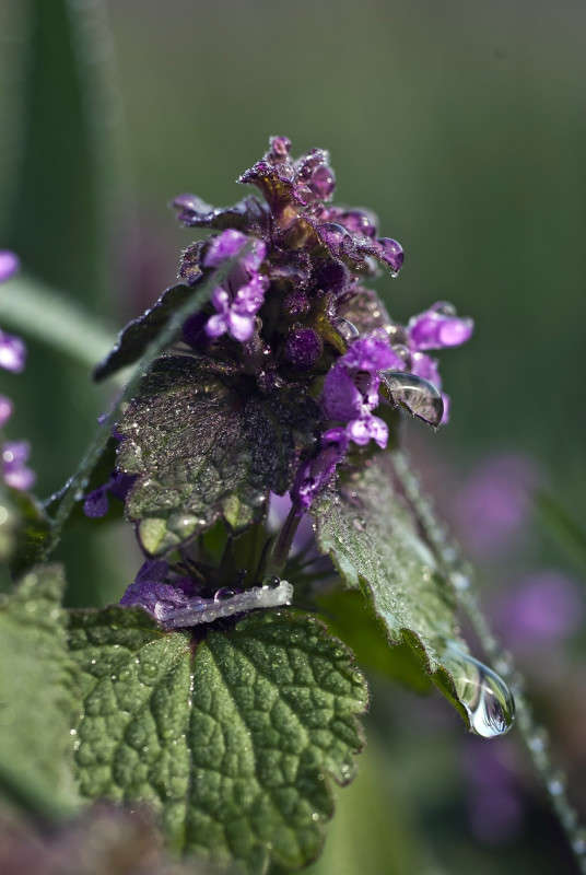 ����������� ����� ����� ����� ������� �� PhotoGeek.ru #�����