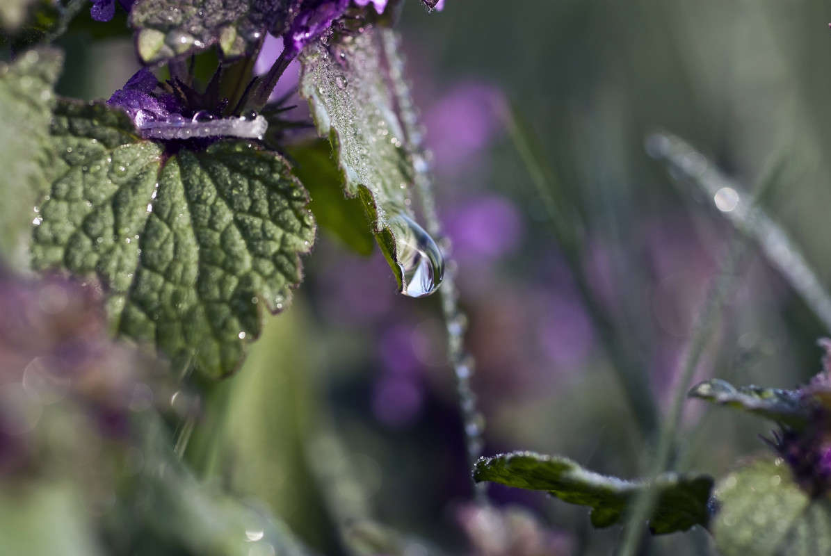 ����������� ����� ����� ����� ������� �� PhotoGeek.ru #�����