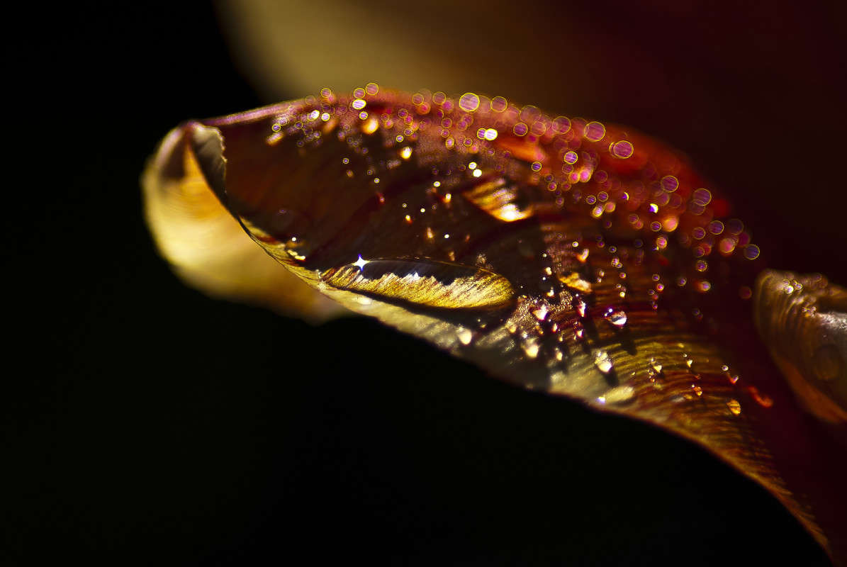 ����������� ����� ����� ����� ������� �� PhotoGeek.ru #�����