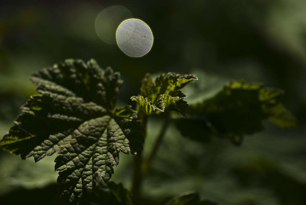 ����� ���� ����� ����� ������� �� PhotoGeek.ru #�����