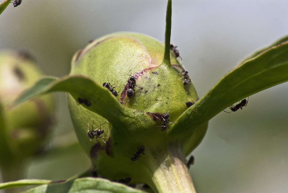 ��������� ������ ����� ����� ������� �� PhotoGeek.ru #�����