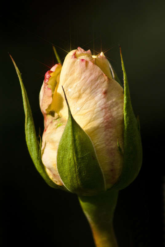 �������� ������ ����� ����� ������� �� PhotoGeek.ru #�����