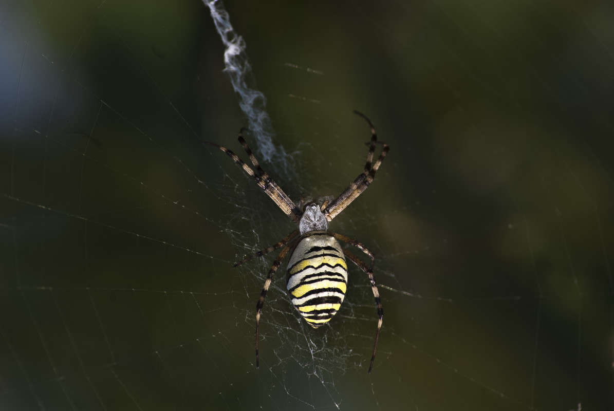 �������� ����� ����� ������� �� PhotoGeek.ru #�����