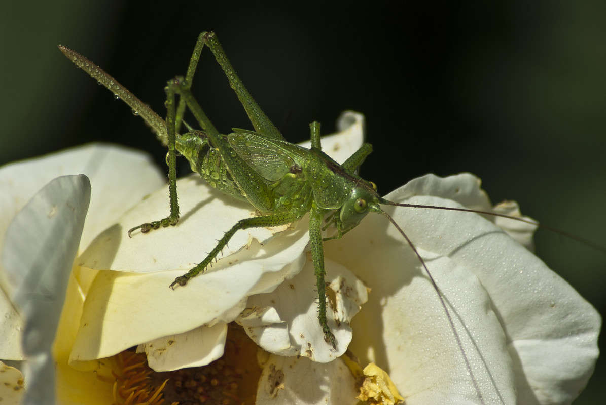 ������ ����� ����� ������� �� PhotoGeek.ru #�����