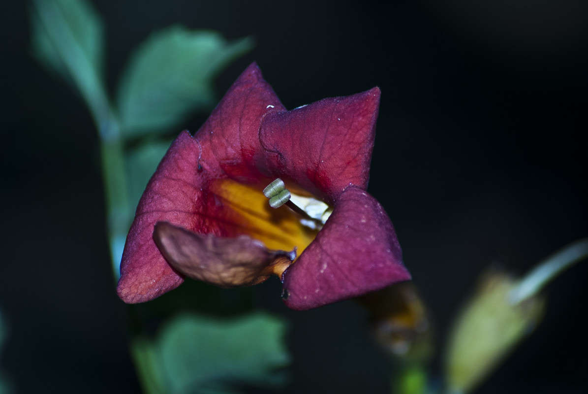 ���� ���� ����� ����� ����� ������� �� PhotoGeek.ru #�����